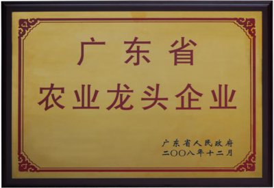 广东省农业龙头企业