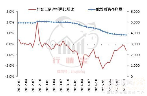 能繁母猪存栏