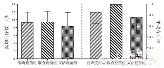 图3 抗PEDV IgA、IgG 抗体水平