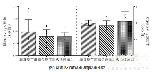 图5 窝均活仔数及平均存活率比较