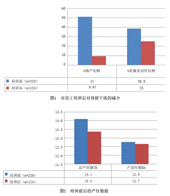 母猪过度管理引起的后果2