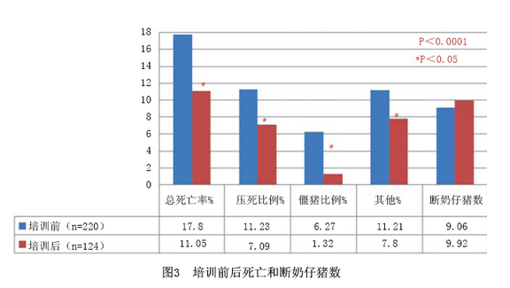 母猪过度管理引起的后果