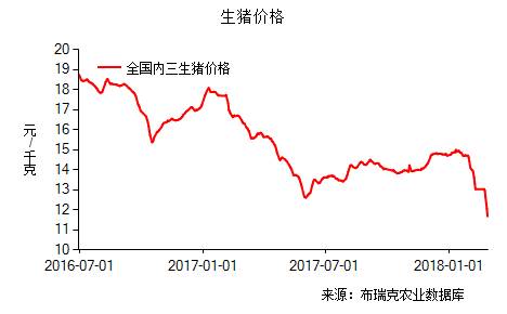 今日全国生猪内三平均价格为11.13元/公斤，较昨日下跌0.09元/公斤，外三均价为11.37元/公斤，较昨日下跌0.12元/公斤。