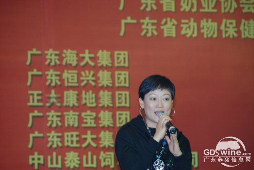 《爱我中华》歌曲联唱